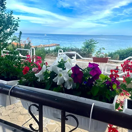 Апартаменты Havana St Vlas *